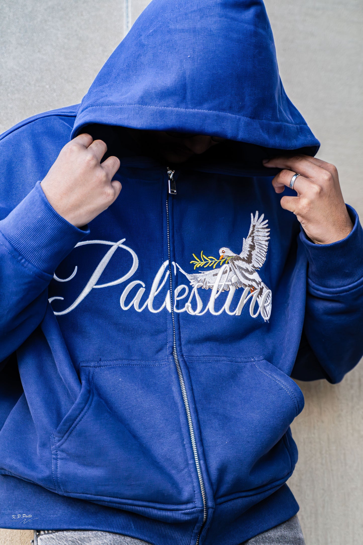 Palestine Zip-Up